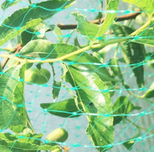 Load image into Gallery viewer, Mesh Net Anti Bird Net Plant Garden