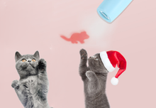 Load image into Gallery viewer, Pet Cat Toy LED Pointer Light Pen Mouse Shadow