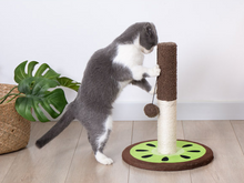 Load image into Gallery viewer, Pets Cat Tree Kitten Scratching Post Frame Play Pet Supplies