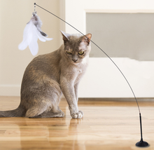 Load image into Gallery viewer, Funny Cat Kitten Pet Teaser Stick Feather Wire Chaser