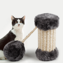 Load image into Gallery viewer, Pet Toy Sisal Toy Cat Training Toy Claws Grinder