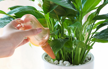 Load image into Gallery viewer, Automatic Plant Flower Self Water Tool Transparent Bird Dripper Pot