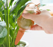 Load image into Gallery viewer, Automatic Plant Flower Self Water Tool Transparent Bird Dripper Pot