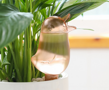 Load image into Gallery viewer, Automatic Plant Flower Self Water Tool Transparent Bird Dripper Pot