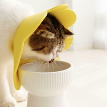 Load image into Gallery viewer, Cat Protection Anti Licking Collar L
