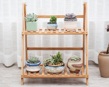 Load image into Gallery viewer, 2 Tier Wooden Ladder Shelf Display Stand