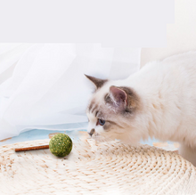 Load image into Gallery viewer, Cat Catnip Candy Teeth Cleaning Snack Mint Ball