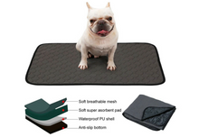 Load image into Gallery viewer, Washable Pet Dog Pee Pad Reusable Cat Puppy Training Pad Absorbent Mat