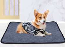 Load image into Gallery viewer, Washable Pet Dog Pee Pad Reusable Cat Puppy Training Pad Absorbent Mat