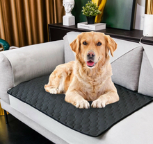 Load image into Gallery viewer, Washable Pet Dog Pee Pad Reusable Cat Puppy Training Pad Absorbent Mat
