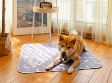 Load image into Gallery viewer, Pet Pee Pad Reusable Cat Puppy Training Pad Washable