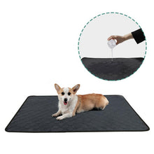 Load image into Gallery viewer, Washable Pet Dog Pee Pad Reusable Cat Puppy Training Pad Absorbent Mat