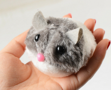 Load image into Gallery viewer, Pet_Toy-Move_Mouse9_SNLLX0ML6XTO.png
