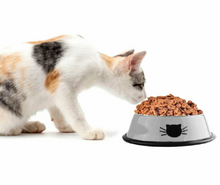 Load image into Gallery viewer, Anti Slip Stainless Steel Dog Cat Feeding Feeder Food Water Bowl