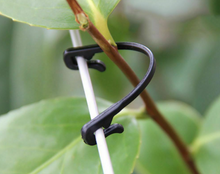 Load image into Gallery viewer, 50PCS Vines Fastener Tied Buckle Plant Vegetable Grading Clips