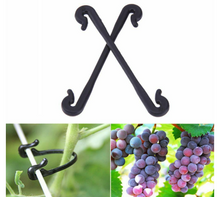 Load image into Gallery viewer, 50PCS Vines Fastener Tied Buckle Plant Vegetable Grading Clips
