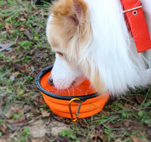 Load image into Gallery viewer, Collapsible Pet Water Bowl with hook Clip Orange
