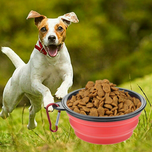 Collapsible Pet Water Bowl with hook Clip Pink