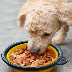 Collapsible Pet Water Bowl with hook Clip Yellow
