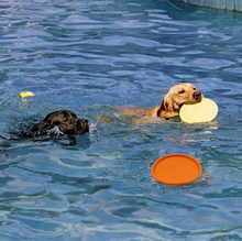 Load image into Gallery viewer, Rubber Frisbee Toy Soft Chew Bite Flying Discs Training Interactive 18cm
