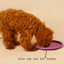 Load image into Gallery viewer, Rubber Frisbee Toy Soft Chew Bite Flying Discs Training Interactive 22cm
