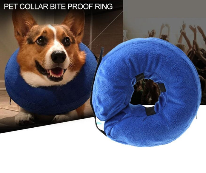 Protective Inflatable Collar for Dogs and Cats - Size S