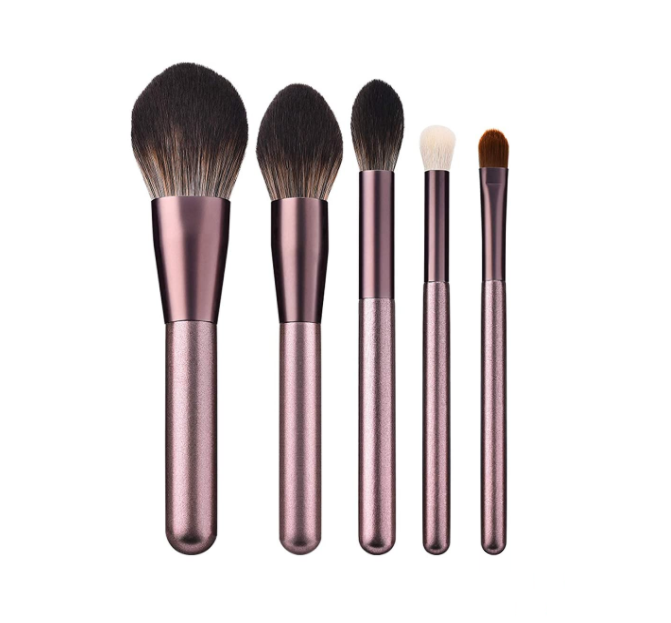 5Pcs Makeup Brush Set Premium Synthetic Makeup Brushes