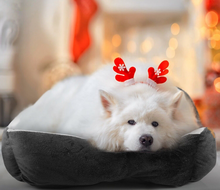 Load image into Gallery viewer, Pet Bed Pet Mattress Size S
