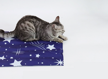 Load image into Gallery viewer, Pet Cooling Pad Dog Ice Mat
