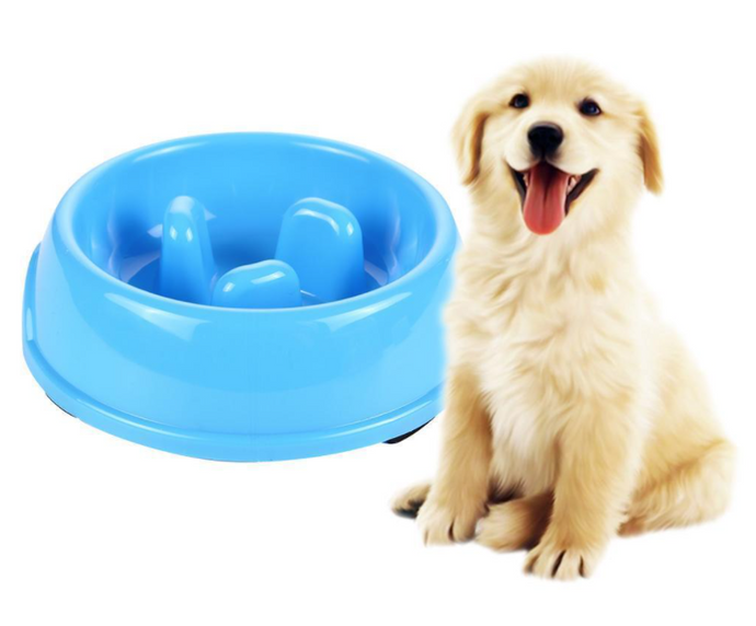 Pet Slow Feed Dog Bowl Pet Feeder