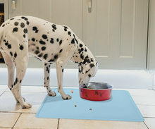 Load image into Gallery viewer, Silicone Pet Feeding Food Mat Waterproof Non-slip Dog Cat Bowl Placemat Light Blue
