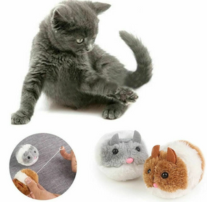 Pet_Toy-Move_Mouse12_SNLLWX2Y59FY.png