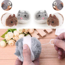 Load image into Gallery viewer, Cat Plush Toy Fat Mouse
