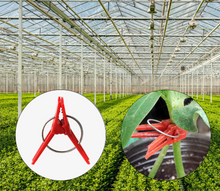 Load image into Gallery viewer, 50pcs Grafting Clips Garden Plant Support Flower Vine Stalks Fix Grow Upright
