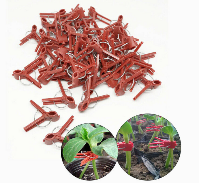 50pcs Graft Clips Grafting Clips Garden Plant Support