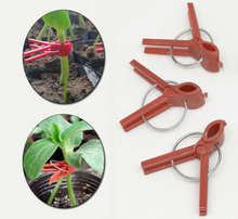 Load image into Gallery viewer, 50pcs Graft Clips Grafting Clips Garden Plant Support
