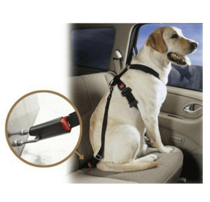 Pet Safety Seat Belt