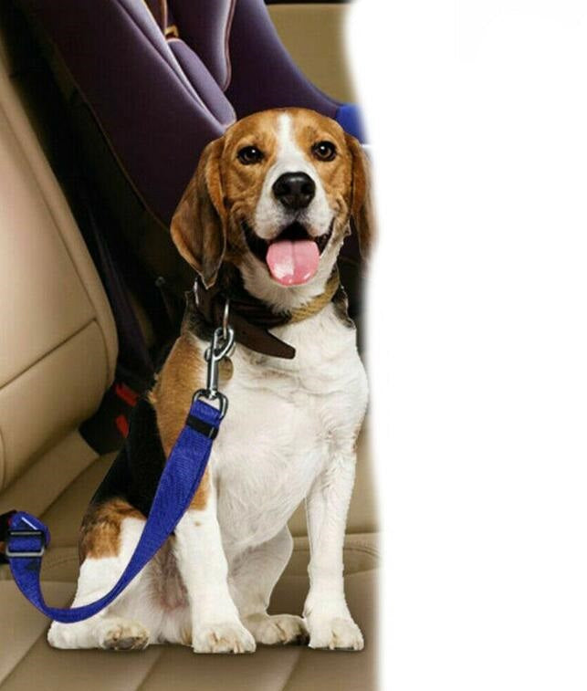 Pet Safety Seat Belt
